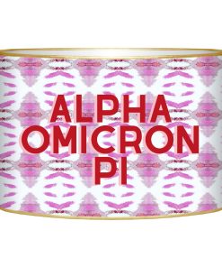 Alpha Omicron Pi Letter Box